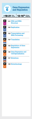 Unit Gene Expression And Regulation